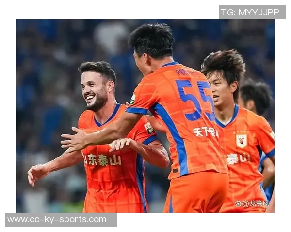 中乙保级组最终战况揭晓广西蓝航赛季无胜降级湖北青年星等队伍同遭降级